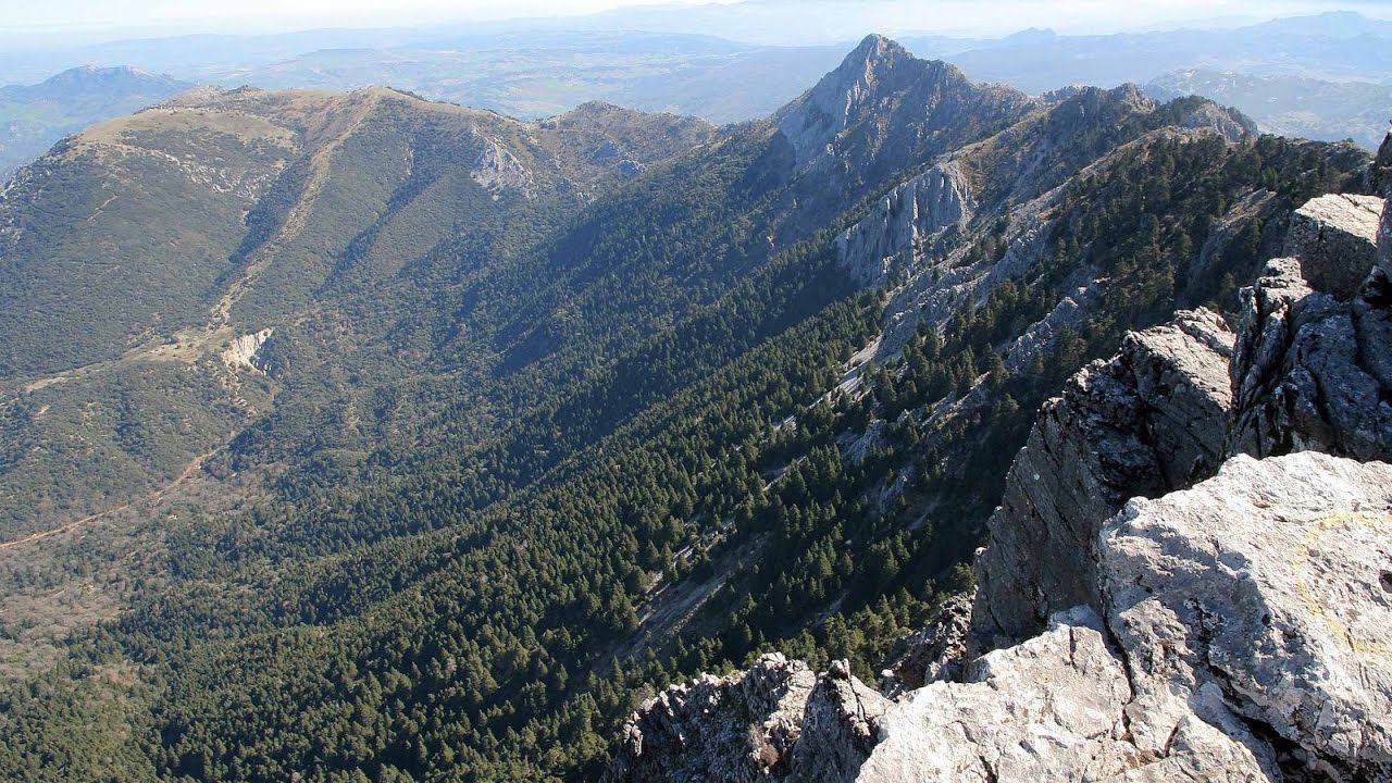 Vista de El Pinsapar. reserva de la Biosfera.